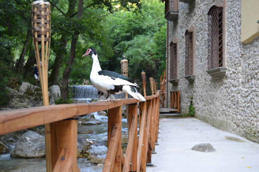 Dimora Storica Hotel Maccarunera Campagna Exteriör bild